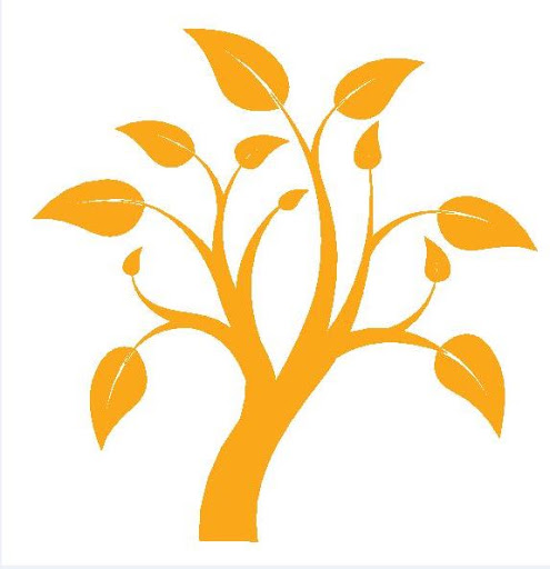 Tree Services in Massachusetts